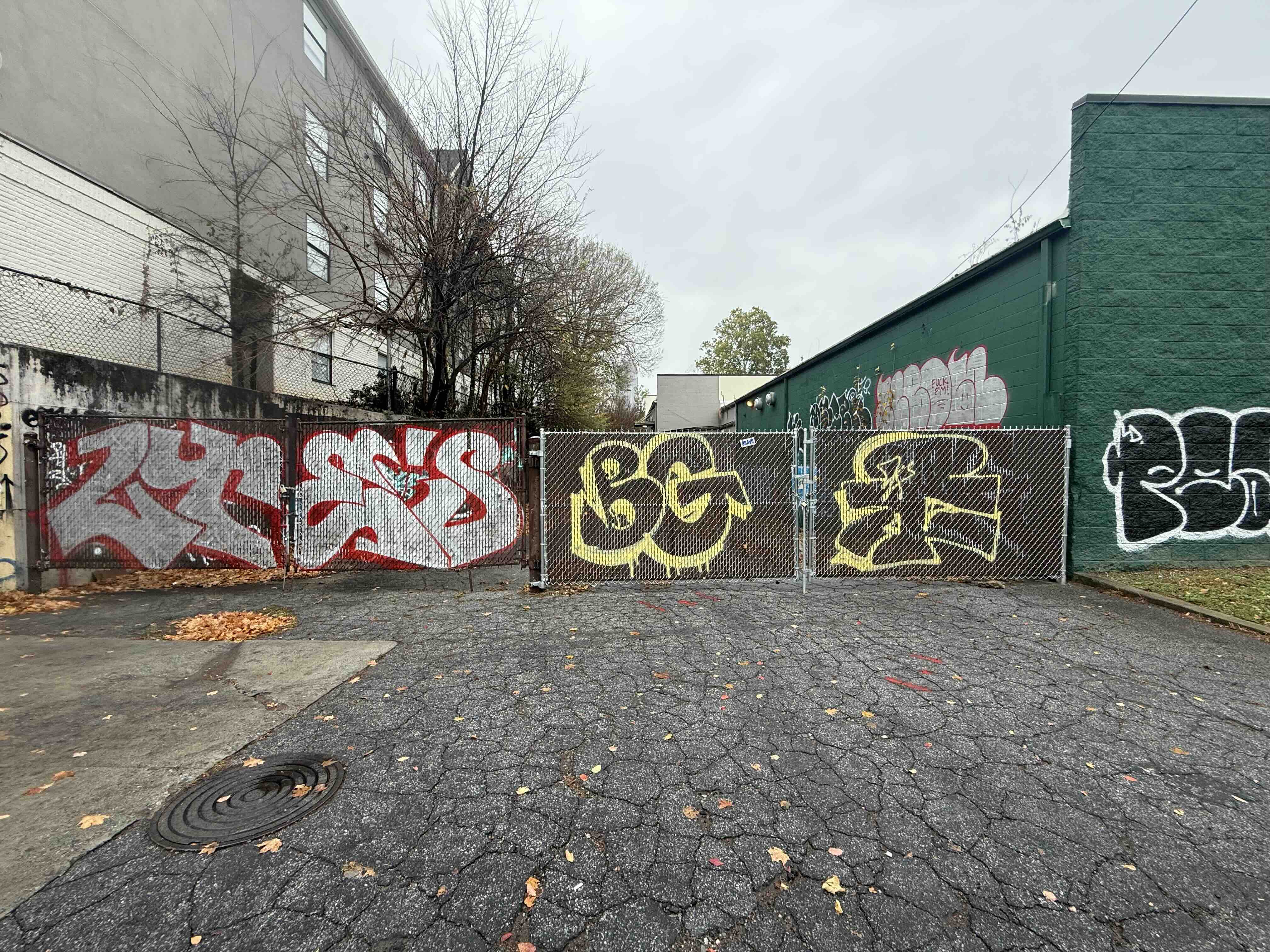 Photograph of Forward to Victory back fence site possibility 3.