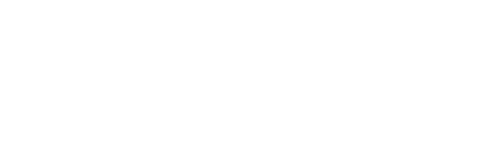 Public Art Challenge logo in white