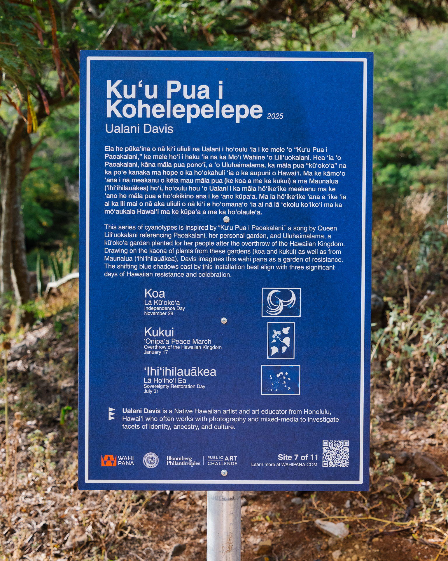 Photograph of Koko Crater area.破